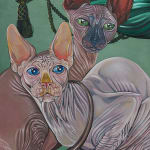 Detail photograph of two hairless cats cuddled by Sabrina Bockler
