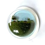 sculpture in glass case
