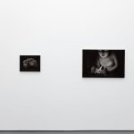 white wall with two paintings by Angela Fang Zirbes