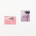 Corey K. Lamb - stylized, pink vulva and penis