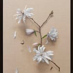 painting of white flowers with subtle dog faces
