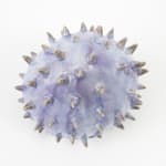 Jen Dwyer sculpture - purple rounded spiky plant sculpture
