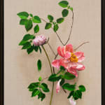 Pink flowers with green leaves and stems with subtle dog faces