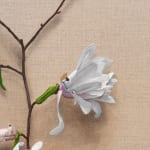 detail of painting of white flowers with subtle dog faces
