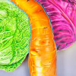 Painting of a green cabbage, a carrot and a purple cabbage above a white pair of underwear briefs.