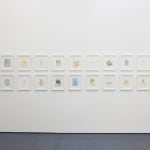 Photograph of Michael McGregor's drawings installed at the New York gallery space