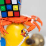 detail image of crab and rubik's cube