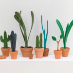 Jeff Canham wooden plant sculptures in terra cotta pots - in a cluster on a shelf