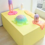 Dan Lam installation image