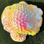 Dan Lam, Mind Melter, 2019