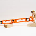sculpture of nude miniature anthropomorphic dog wear a construction hat and struggling to pick up a level tool
