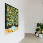 Installation image of Orange Tree at Hashimoto Contemporary Los Angeles