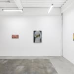 Installation view of Angela Burson's exhibition "Close Encounters" at Hashimoto Contemporary San Francisco depicting (from left to right): "Footward," "Blue Shoes, "Palmetto Martini," "Owless," and "The Palm Reader"