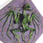 Thumbnail of additional image