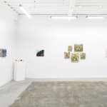 Installation view of the group exhibition Doggone Delightful at Hashimoto Contemporary San Francisco