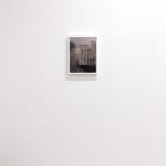 installation image of Purple Haze at Hashimoto Contemporary San Francisco