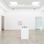 Installation image of So Youn Lee's work at Hashimoto Contemporary Los Angeles