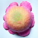 Dan Lam "Bursting" polyurethane foam, resin, acrylic, HMA