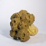 Lindsey Lou Howard sculpture of a head of broccoli with skulls in tops