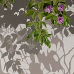 top (floral detail) Natalia Juncadella painting of column, shadows, flowers and leaves