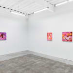 installation view of Megan Ellen MacDonald's exhibition "What Doesn't Kill You" at Hashimoto Contemporary San Francisco. From left to right: "Spoiled Rotten," "Smiling Through Sadness," and "One of Many"