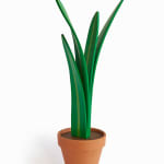 Jeff Canham wooden plant sculpture in a terra cotta pot