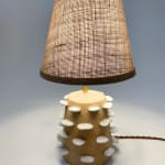 earth toned lamp turned on