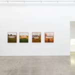 Installation image at Hashimoto Contemporary Los Angeles