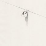 drawing of a figure hanging from a line