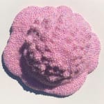 Dan Lam, Mind Melter, 2019