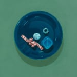 close up of blue tray with assorted objects on a green background