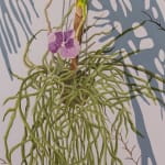 detail of Natalia Juncadella painting of orchid, plant and roots, shadows