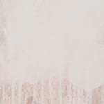 In Softened Light, 2024