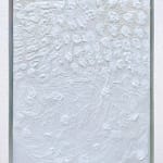 White Webs, 2025