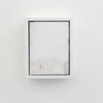 In Softened Light, 2024