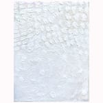 White Webs, 2025