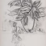 HENRI MATISSE: Nature Morte au Lierre, 1915, Fusain et estompe sur papier