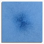 Martin Kline, Razzle Dazzle, 2017