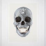 Damien Hirst Skull
