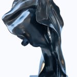 Helaine Blumenfeld, Continuity, 2014