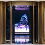 Helaine Blumenfeld OBE, Exodus: Metamorphosis, 2016