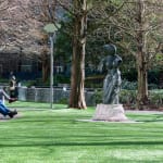 Helaine Blumenfeld OBE, Metamorphosis, 2019