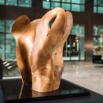 Helaine Blumenfeld OBE, Sinfonia, 2014