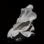 Helaine Blumenfeld OBE, Exodus , 2019