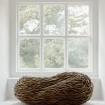 Laura Ellen Bacon, Working Study