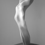Helaine Blumenfeld OBE, Metamorphosis, 2019