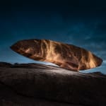 Philipp Frank, Nature Light Art, 2025