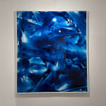 Camille Hannah, Excesses, 2017