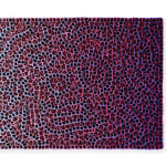 Zhuang Hong Yi, Cosmic Flow, 2025