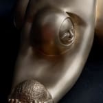 Jiménez Deredia, Genesis de Papagayo, 2025